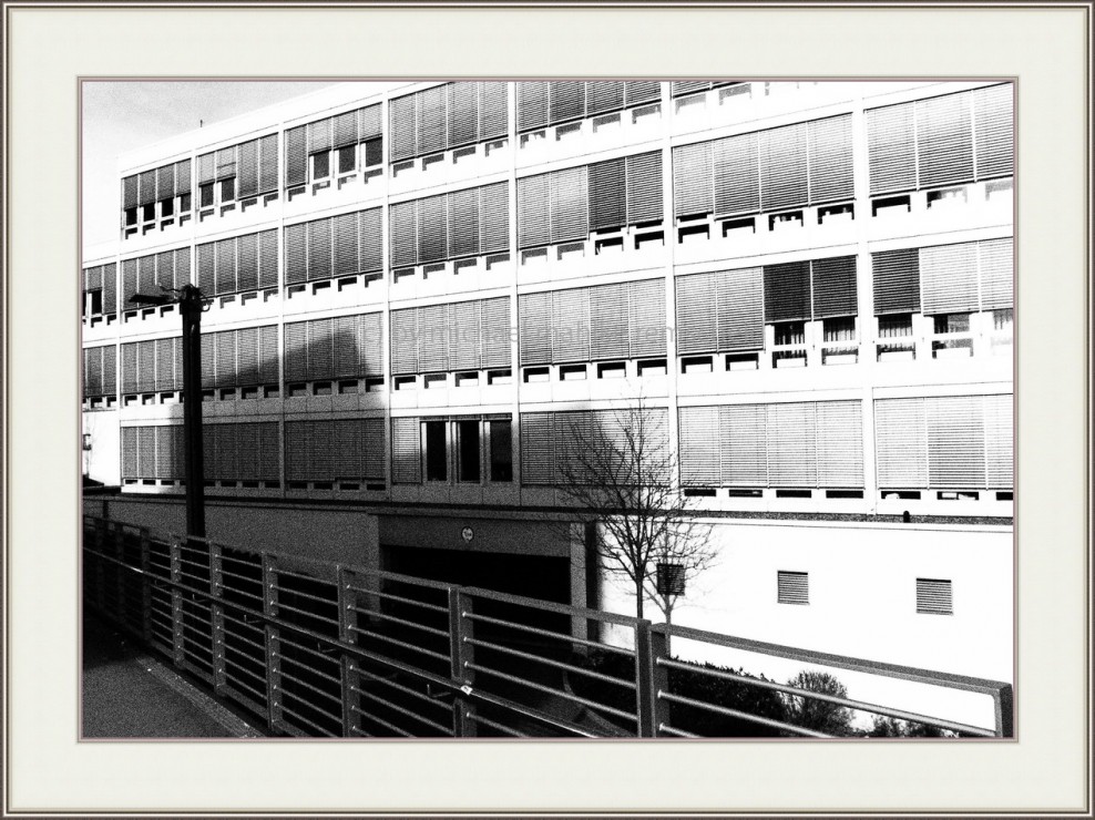 Foto: Michael Mahlke